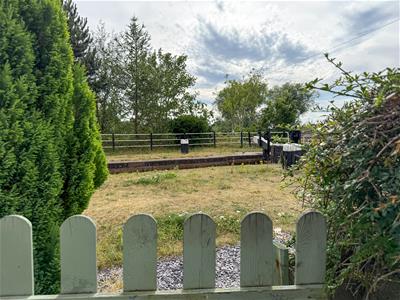 Picture 20